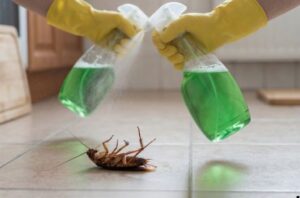 homemade roach killer