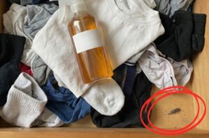 home remedy to get rid of silverfish