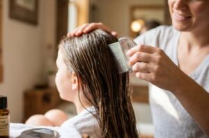 coconut oil and rosemary for lice