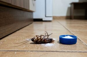 homemade poison to kill cockroaches