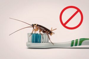 homemade cockroach killers