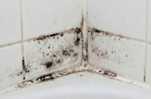 receita caseira para remover bolor do banheiro