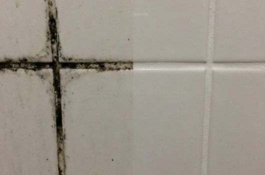 receita caseira para remover bolor do banheiro