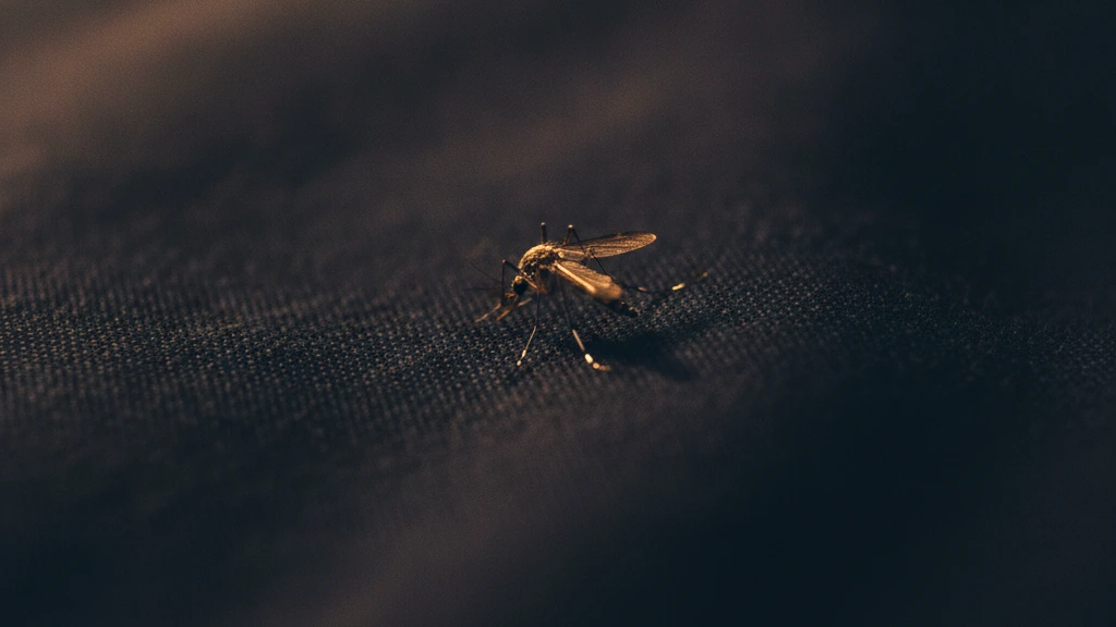Elimine Mosquitos com Lâmpada e Vinagre!