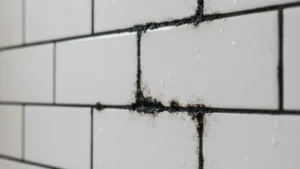 Rejunte sujo? Aprenda a remover mofo e manchas pretas