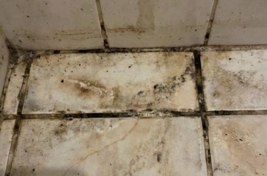 receita para acabar com bolor do banheiro