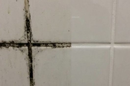 acabar com bolor do banheiro